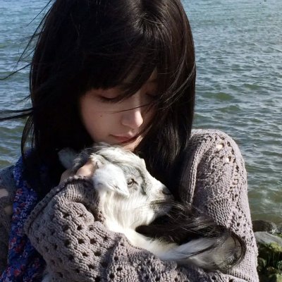 腌黄瓜先生第三季
